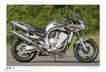 2002-2005 Yamaha FZ1 TiForce Stainless Steel Full Exhaust System