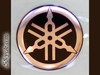 2003-2007 Yamaha R6 Gas Tank Emblem / Sticker