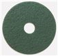 RENOWN SCRUBBING PAD 17 IN. GREEN