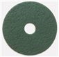 RENOWN SCRUBBING PAD 20 IN. GREEN