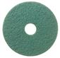 RENOWN SCRUBBING PAD 16 IN. GREEN