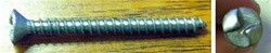 Stainless Steel Security Screws