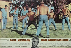 Cool Hand Luke Original Italian Photobusta
Vintage Movie Poster
Paul Newman