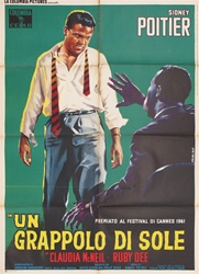 A Raisin In The Sun Original Italian 2 Sheet
Vintage Movie Poster
Sidney Poitier