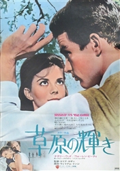Japanese Movie Poster Splendor In The Grass
Vintage Movie Poster
Natalie Wood