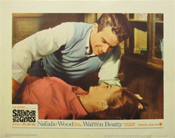 Splendor In The Grass Original US Lobby Card
Vintage Movie Poster
Natalie Wood