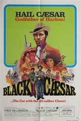 Black Caesar Original US One Sheet
Vintage Movie Poster
Fred Williamson