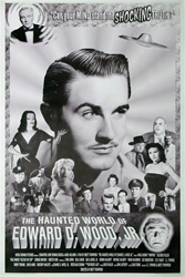 The Haunted World of Ed Wood Original US One Sheet
Vintage Movie Poster