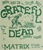 Grateful Dead At The Matrix Concert Poster