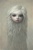 Mark Ryden Fur Girl Limited Edition Print
Lowbrow
Lowbrow Artwork
Pop Surrealism