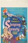 Sleeping Beauty US Window Card	