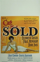 Cat on a Hot Tin Roof US Window Card