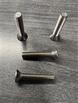 S14337 SCREW, 10-32 X 1, PH, FLT, S/S, (4-PACK), SVCE