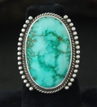 LOVELY PERRY SHORTY CARICO LAKE TURQUOISE RING