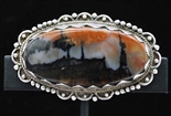 LOVELY RALPH TAWANGYAOUMA PETRIFIED WOOD PIN