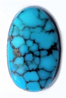 FOSSIL LONE MOUNTAIN TURQUOISE CABOCHON 3.4cts