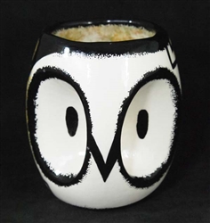 APACHE MANA  OWL CUP