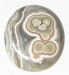 BEAUTIFUL MEXICAN LACE AGATE CABOCHON 33 cts
