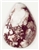 WILD HORSE MAGNESITE CABOCHON 28 CTS