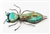 Lg. 4.12" Liz Wallace Royston Turquoise Beetle Pin