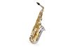 Jupiter Alto Saxophone JAS1100SG