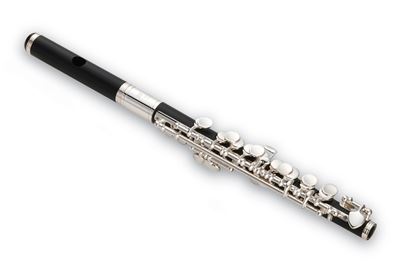Jupiter Piccolo JPC1010