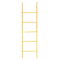 5' Scaffolding Access Ladder