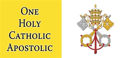 One Holy Catholic Apostolic Vatican Flag Mug