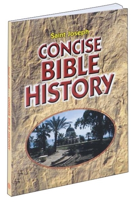 Concise Bible History