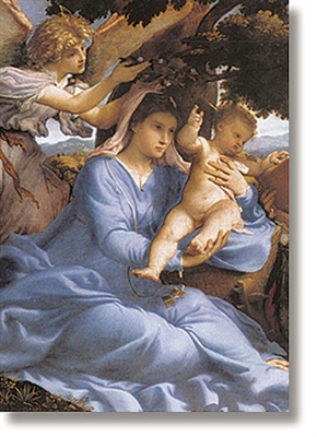 The Savior is Born Christmas Card