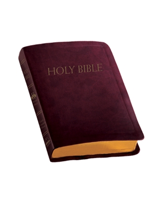 Catholic Companion Edition, Burgundy