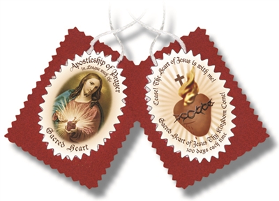 Large Sacred Heart Badge with Cloth Image