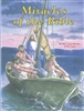 Miracles of the Bible Children's Book