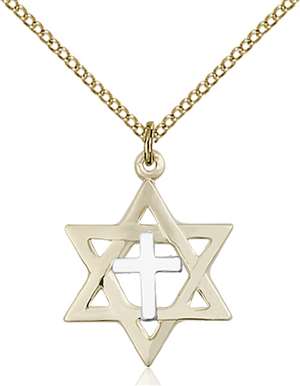 1209SS/GF/18GF <br/>Two-Tone SS/GF Star of David Pendant