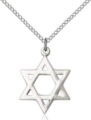 1210SS/18SS <br/>Sterling Silver Star of David Pendant