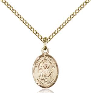 St. Camillus of Lellis Medal<br/>9019 Oval, Gold Filled
