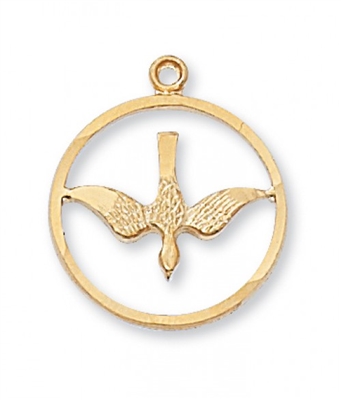 G/SS HOLY SPIRIT 18" CHAIN & BOX