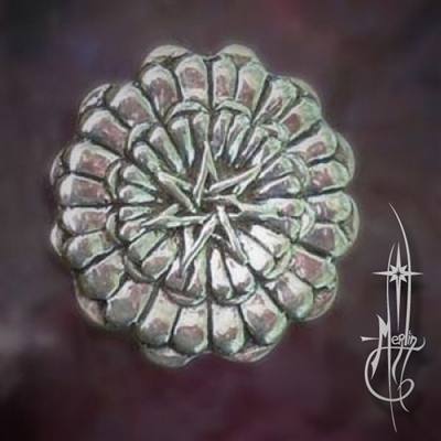 The Sunflower Amulet