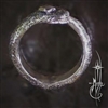 Ouroboros Ring