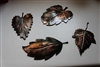 Leaf Assortment (4) Set 1 Metal Art Decor Copper/Bronze