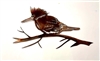 Kingfisher Bird on Branch Metal Art Wall Decor