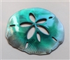 Sand Dollar