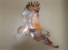 Soaring Eagle Metal Wall Art