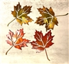 Maple Leaf Set of 4 fall colored