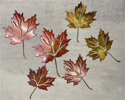 Maple Leaf Set of 6 fall colored
