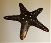 Starfish Metal Wall Art Decor