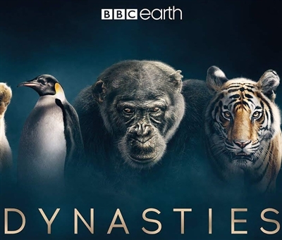 Dynasties 10/18 Disc 2 Blu-ray (Rental)