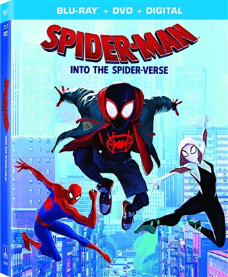 Spider-Man: Into the Spider-Verse 02/19 Blu-ray (Rental)