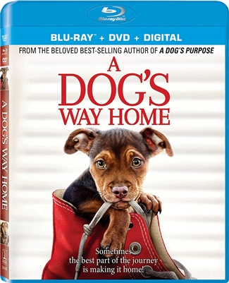 Dog's Way Home 03/19 Blu-ray (Rental)