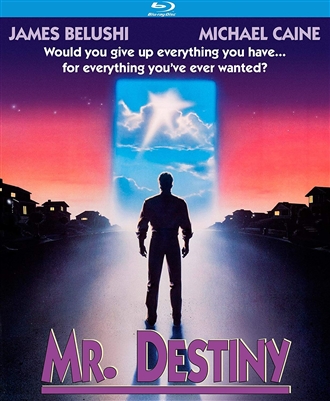 Mr. Destiny 07/18 Blu-ray (Rental)